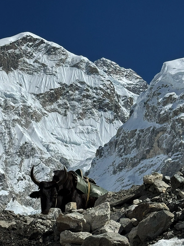 Everest Base Camp Trek