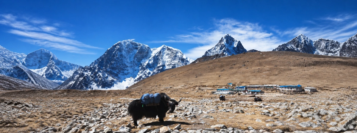 Everest Base Camp